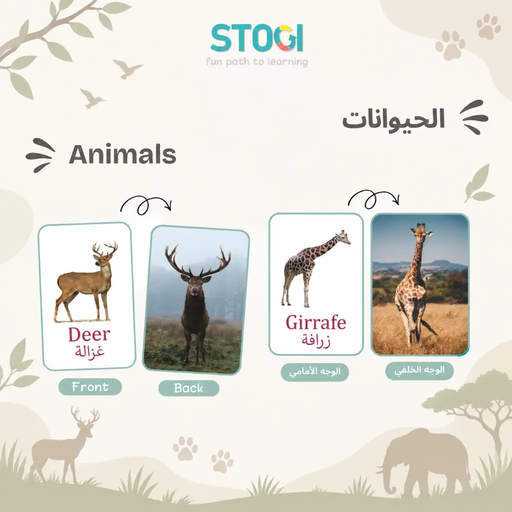 107_animals_02.webp