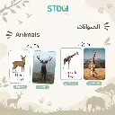 107_animals_02.webp