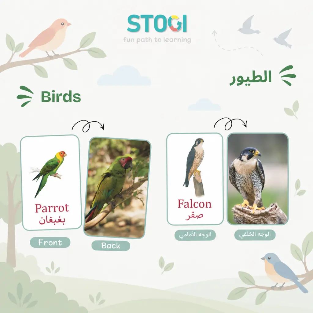 110_birds_02.webp