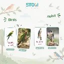 110_birds_02.webp
