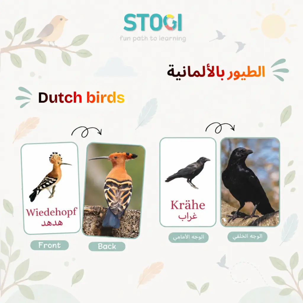 119_duetch_birds_02.webp