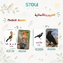 119_duetch_birds_02.webp