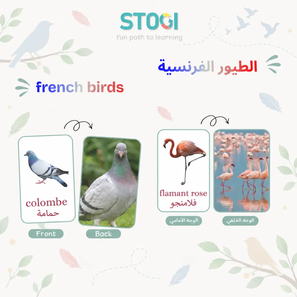 127_frensh_birds_02.webp