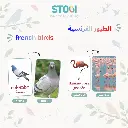 127_frensh_birds_02.webp