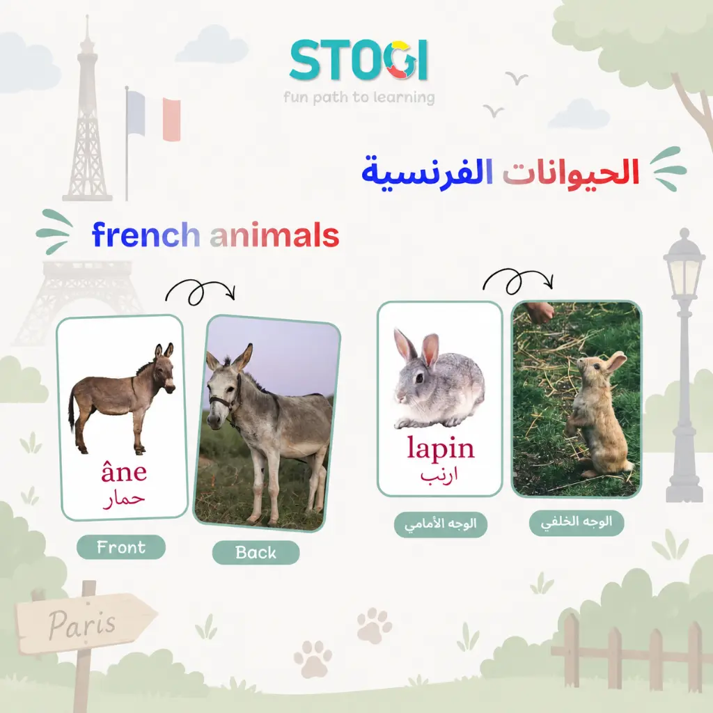 129_frensh_animals_02.webp
