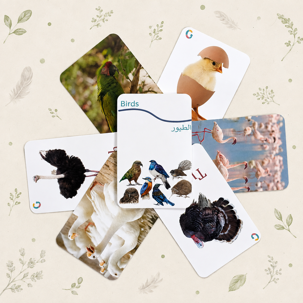[Flashcard_010] Birds