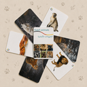 Dutch animals