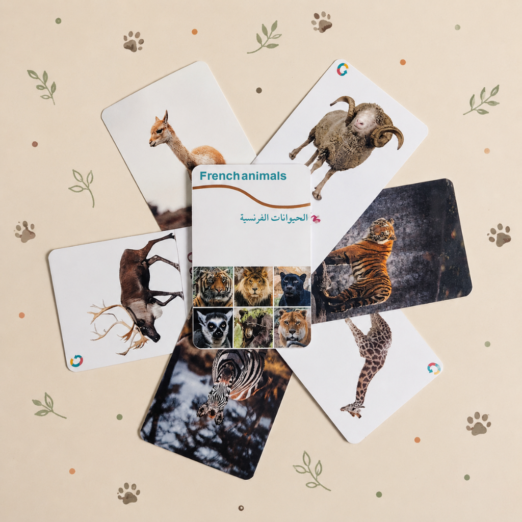 [Flashcard_046] French Animals